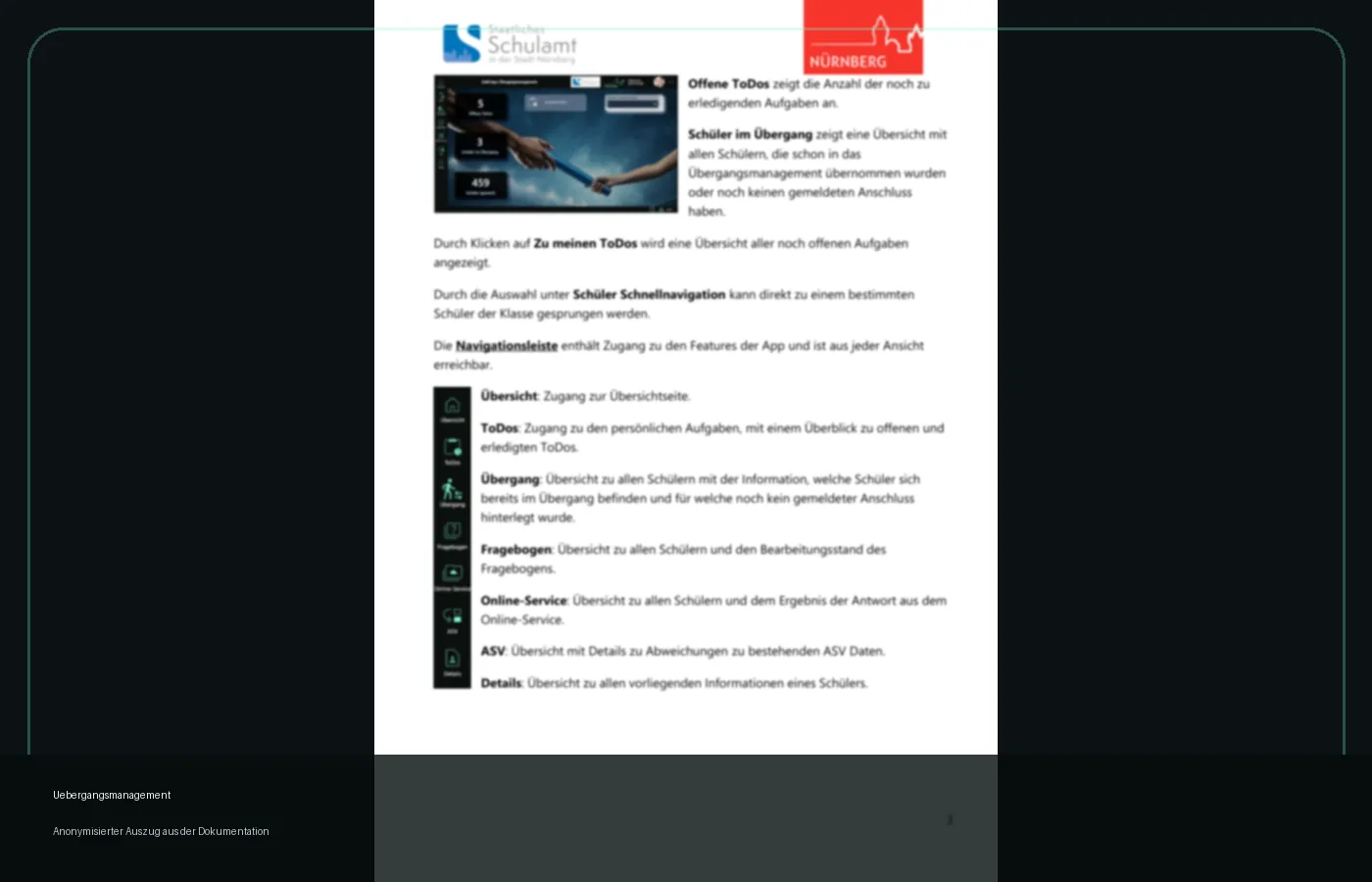 Anonymisierter Screenshot der Übergangsmanagement-Dokumentation